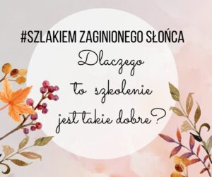 Read more about the article Szlakiem zaginionego słońca