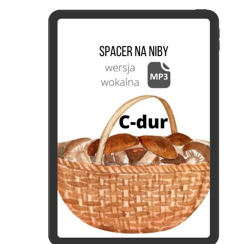 Spacer na niby (wok) C110