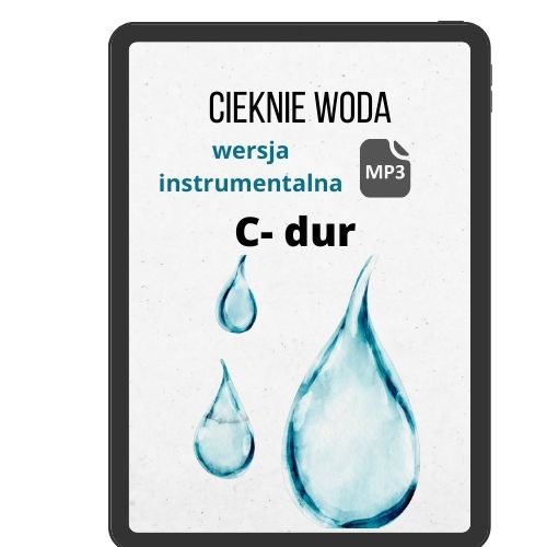 Cieknie woda (instr) C110
