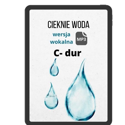 Cieknie woda (wok) C110