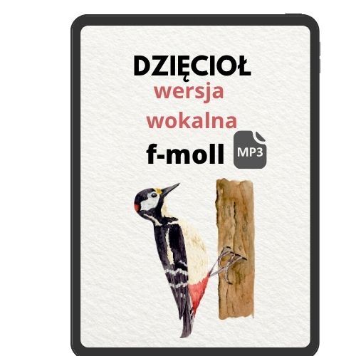 Dzięcioł (wok) f90